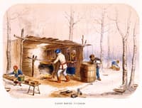 Sugar Making in Canada