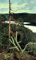 The Great Black Woodpecker