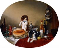The Pets and the Materials