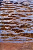Waves