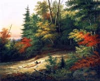 Shooting the Rapids