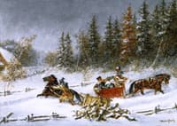 A Winter Incident