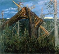 The Broken Pine