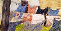 Laundry Fluttering in the Wind