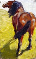 Study of a Horse