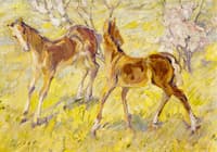Foals at Pasture