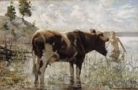 Cow and Boy
