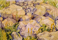 Large Study of Stones