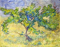 Little Oak Tree