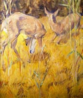 Deer in the Reeds