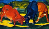 Fighting Cows