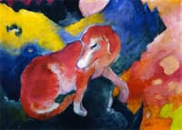 Red Dog