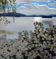 White Roses