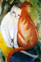 Cats, Red and White