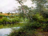 A Orillas del rio, Alcala