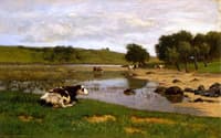 Cows Watering