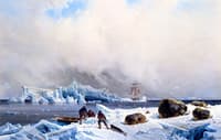 Seal Hunting in the Arctic