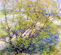 Autumn Landscape