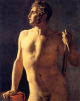 Male Torso