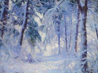 Winter Forest