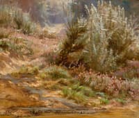 Wildflowers by a Stream