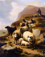 A Shepherd and His Flock