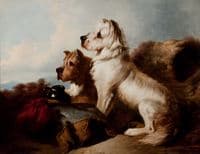 A West Highland White and a Skye Terrier Guarding the Day’s Bag