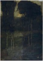 Forest landscape