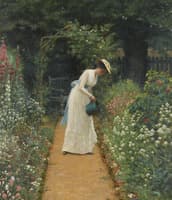 My Lady's Garden