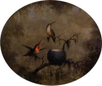 Hummingbirds and Their Nest