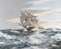 The Brilliant Privateer USS Rattlesnake