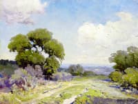 Morning in the Live Oaks, Boerne, Texas