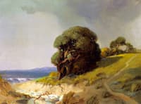 California Landscape