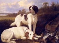 Setters at Rest