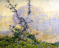 Opalescent Morning