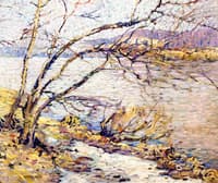 Water Birches