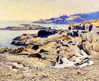 A Rocky Shore