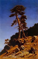 Pines