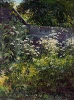 Corner of an Overgrown Garden