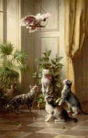 Cats and the cockatoo