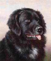 Newfoundland