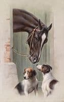 Visit to the stables