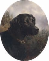Hector