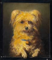 Portrait of a Dog