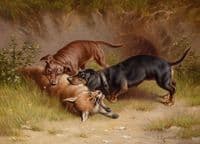 Hunting