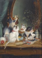 Cats in the Boudoir