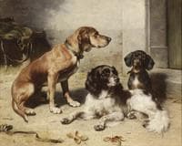 After the Hunt