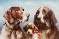 Dog Family