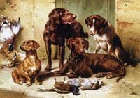 Hunting dogs with prey