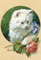 Cat and Rose